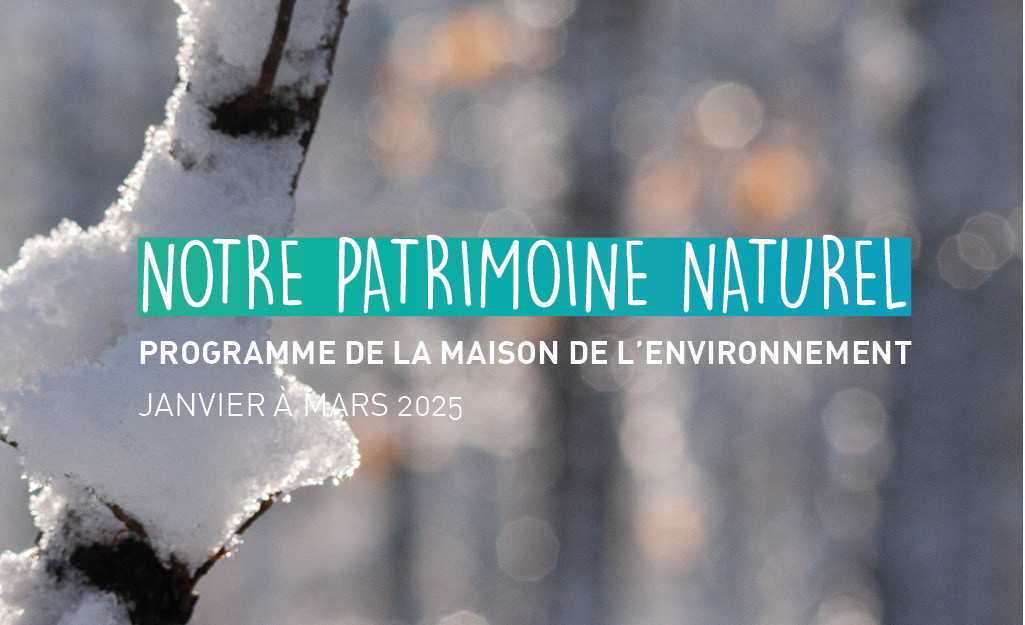 Programme de la Maison de l’Environnement de janvier à mars 2025